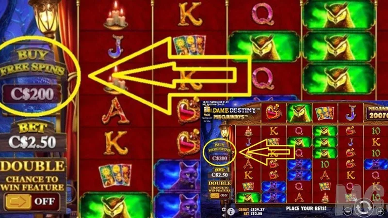 Feature Bonus Buy Guide